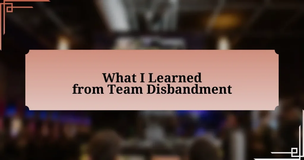 What I Learned from Team Disbandment